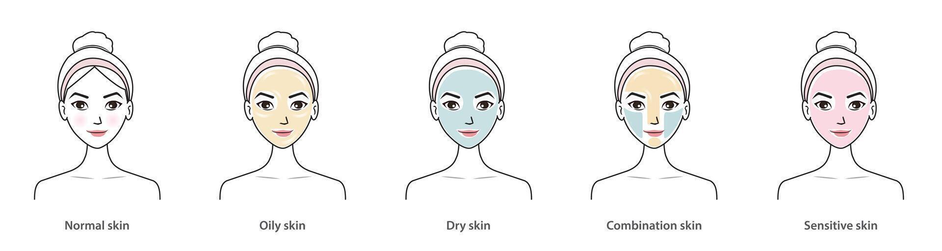 Cute woman with skin types set isolated on white background. Different basic types of skin, normal, oily, dry, combination and sensitive skin. Skin care and beauty concept illustration. vector