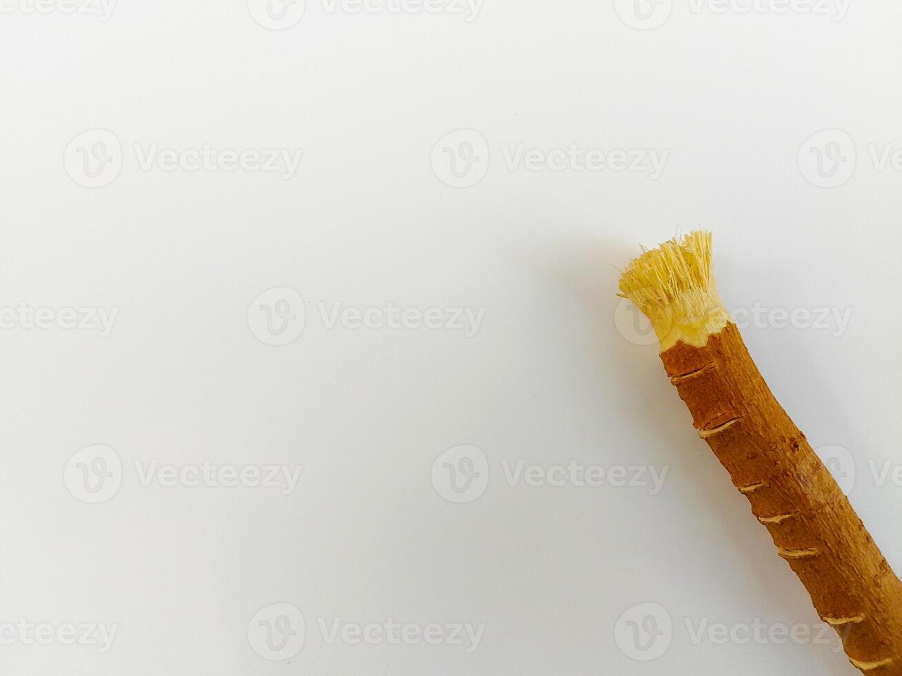 miswak en blanco antecedentes - cepillo de dientes en islam foto