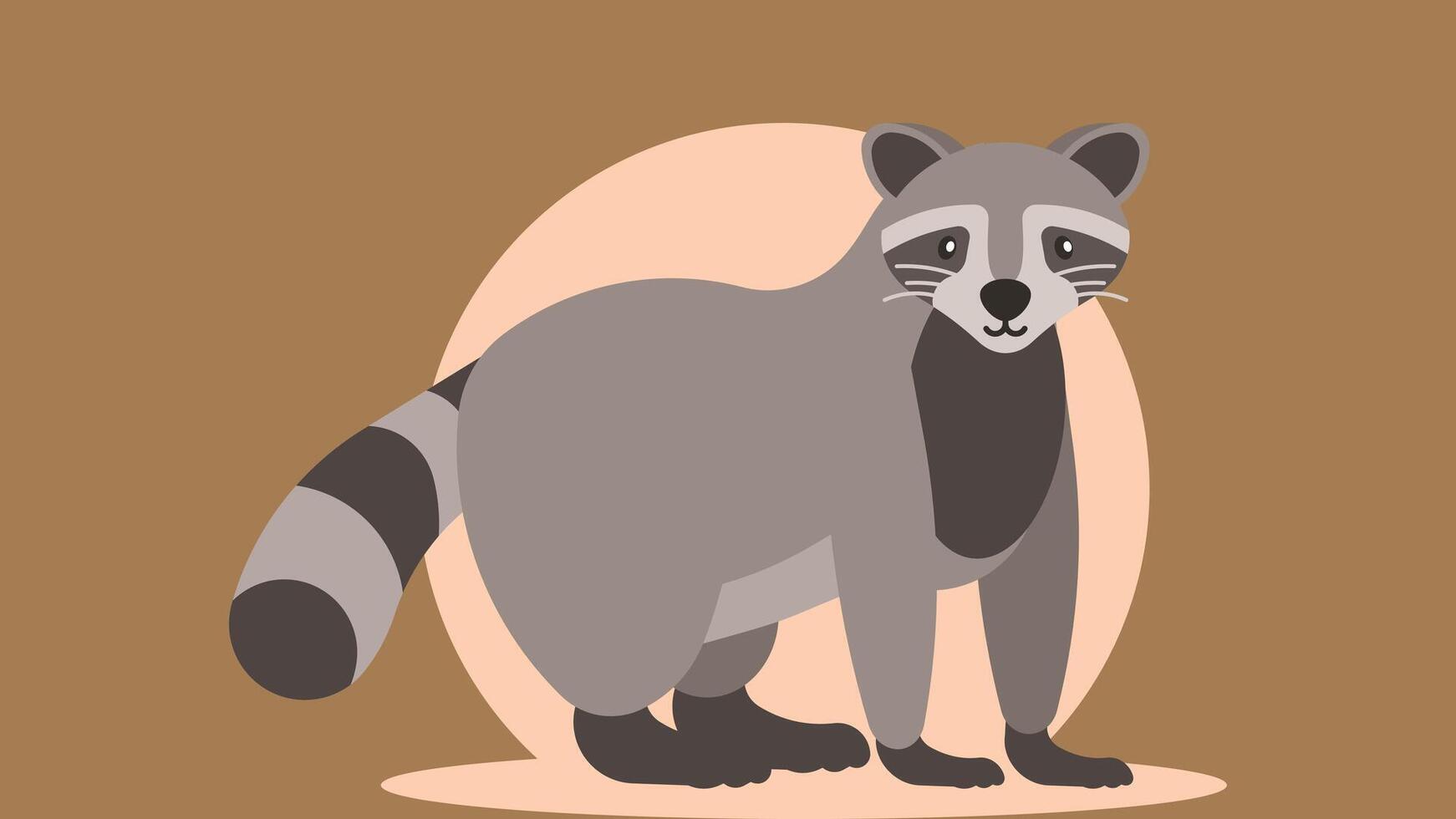 racoon animal cartoon character illustration vector