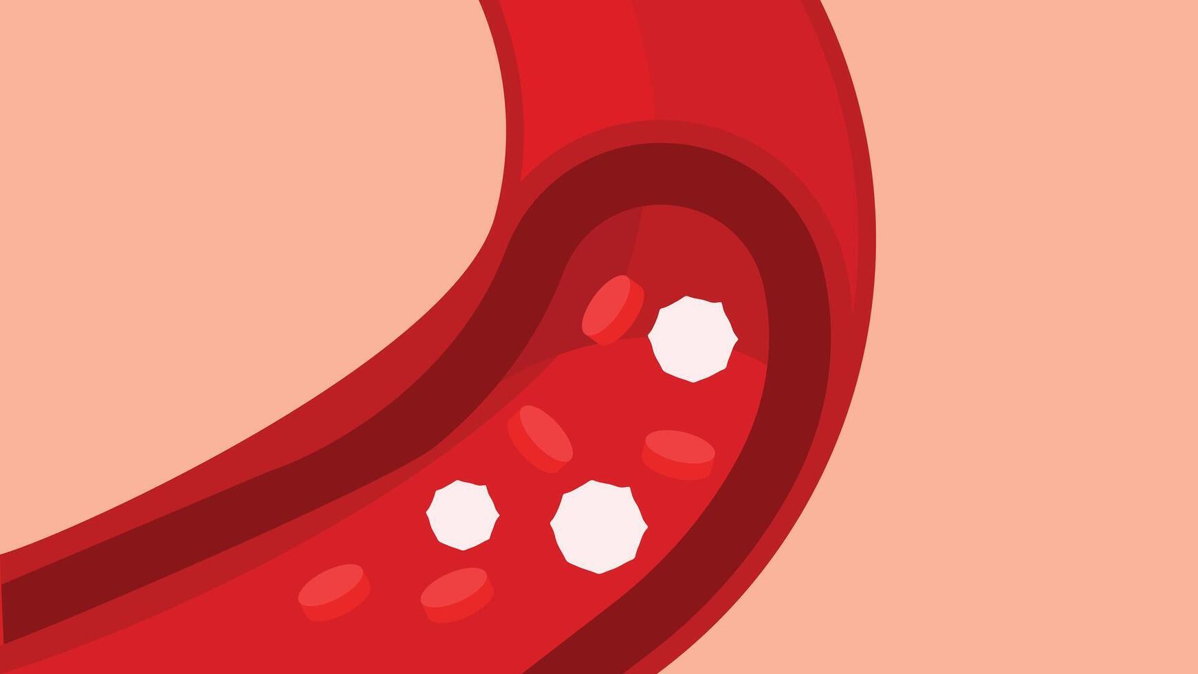 Blood vein carrying red and white blood cells illustration vector