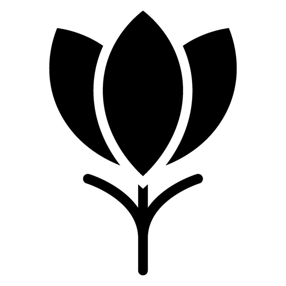 crocus glyph icon vector