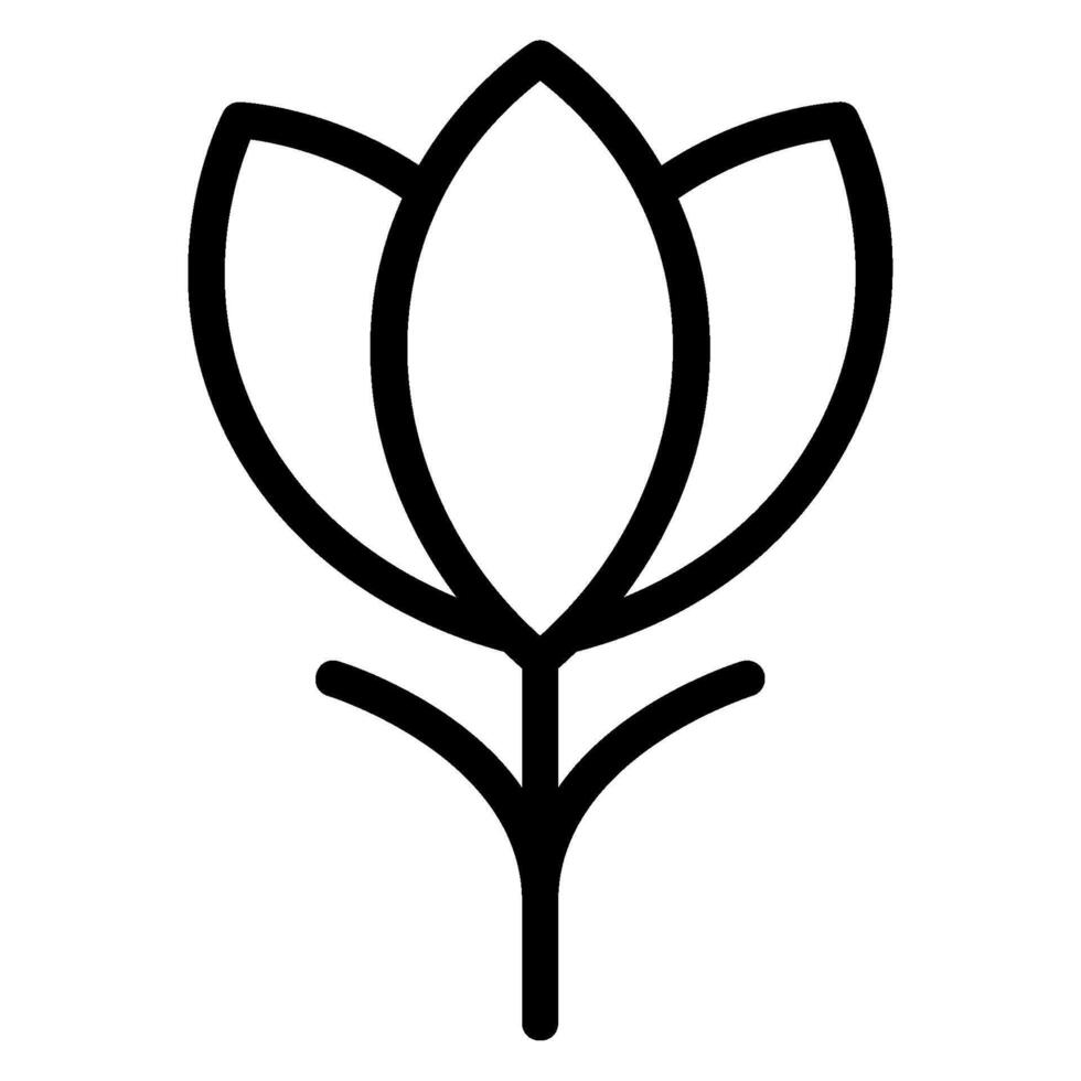 crocus line icon vector