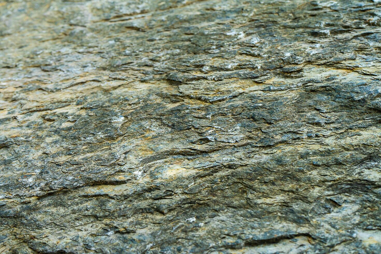 Close up textured of stone background. photo