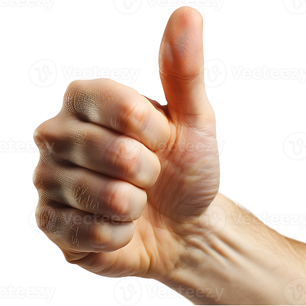 Hand thumbs up on isolated transparent background png