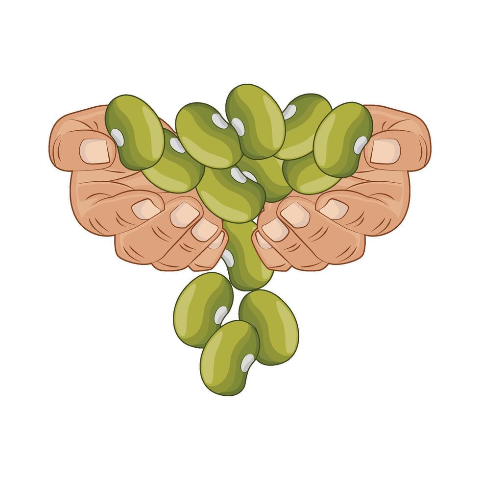 illustration of mung beans vector