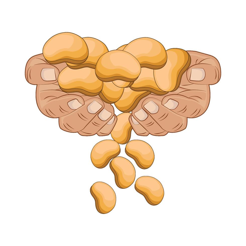 illustration of soybean vector