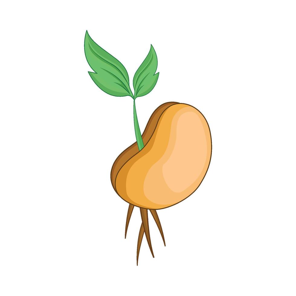 illustration of beans sprout vector