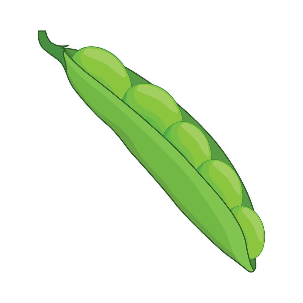 illustration of peas vector