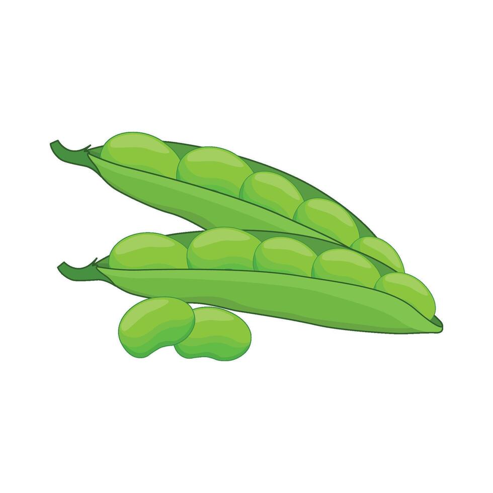 illustration of peas vector