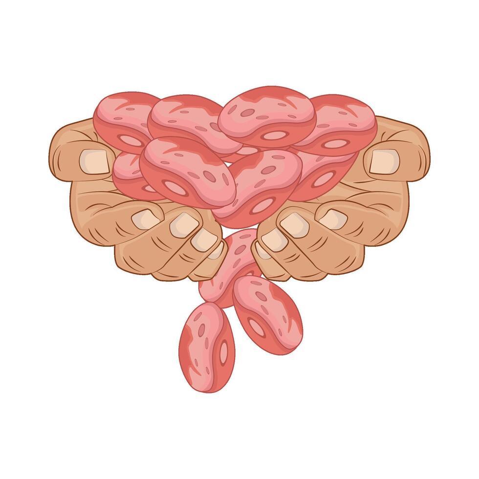 illustration of pinto beans vector