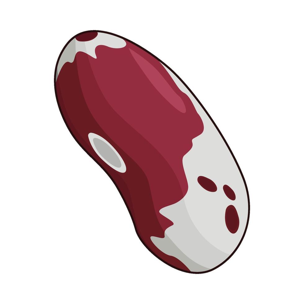 illustration of red beans vector