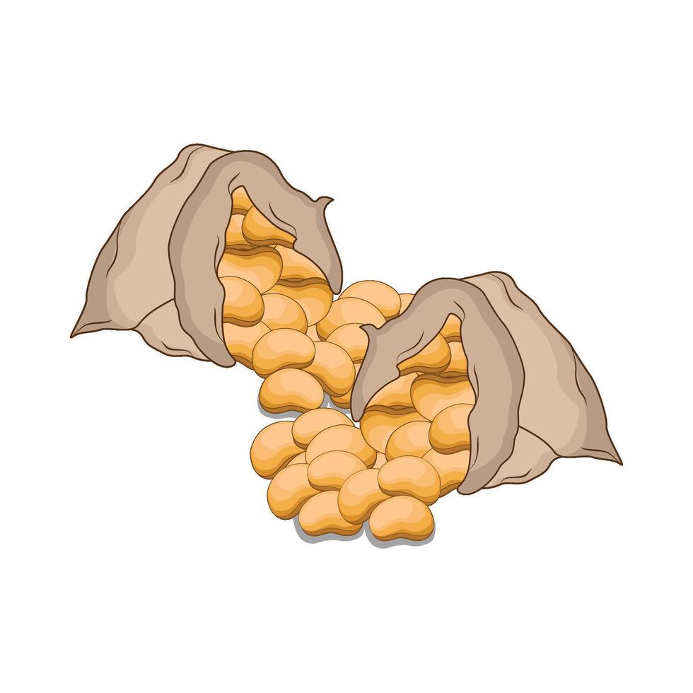 illustration of soybean vector