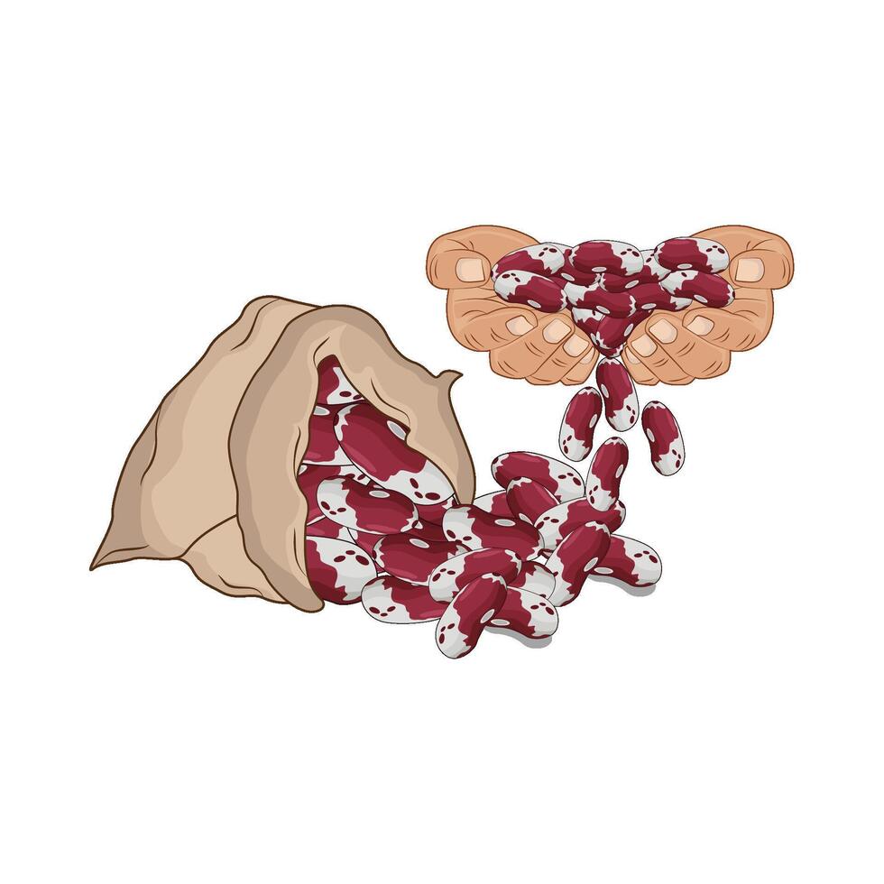 illustration of red beans vector