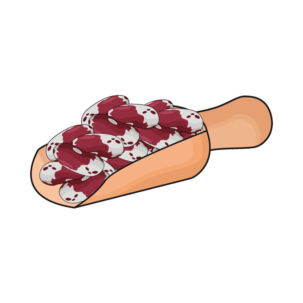 illustration of red beans vector