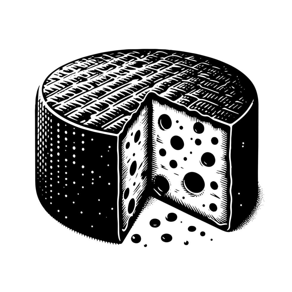 Black and White Illustration of a traditional Swiss Cheese vector