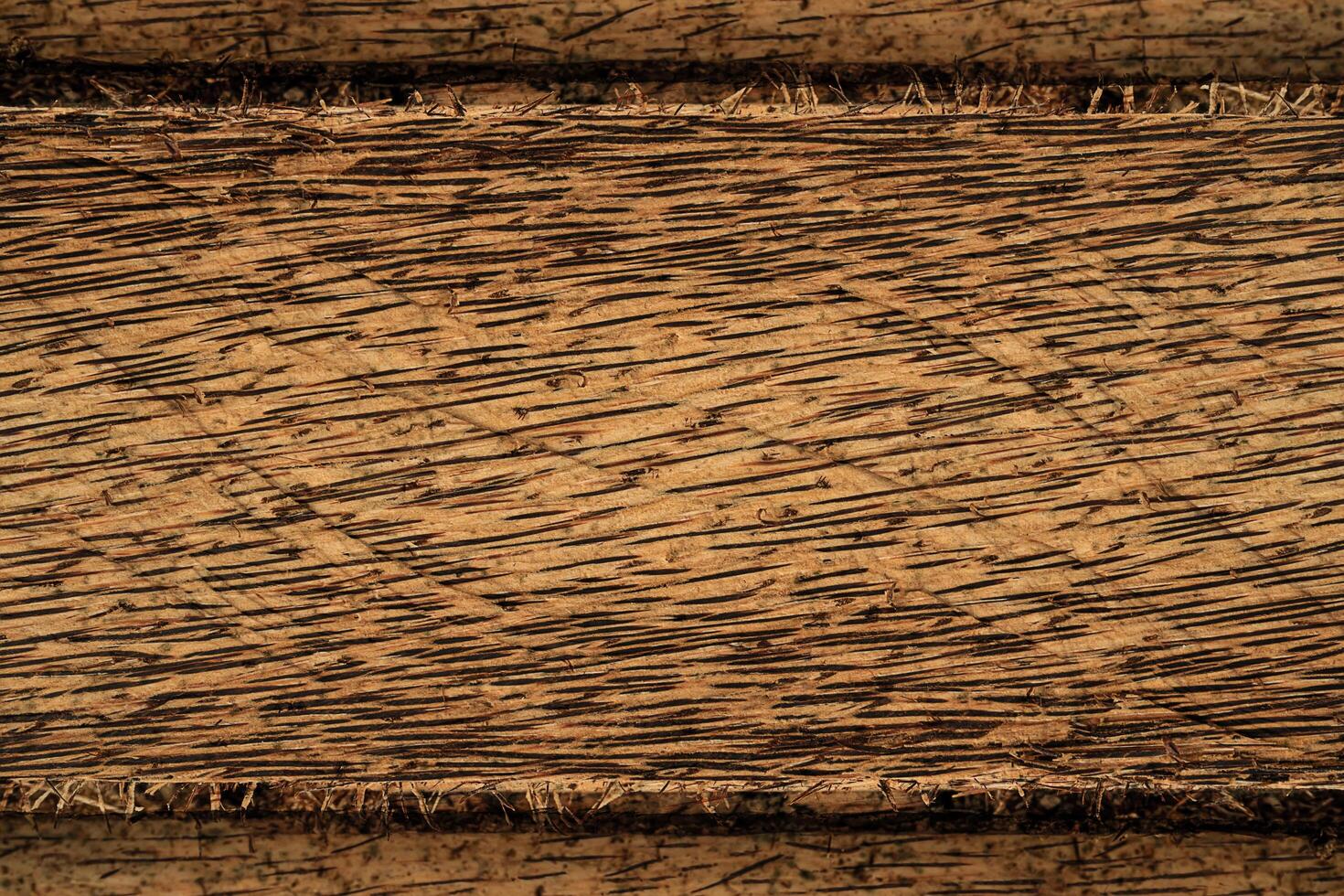 Texture background of Palmyra palm wooden. photo