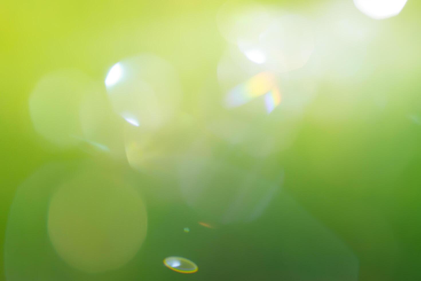 Green blur background with light photo