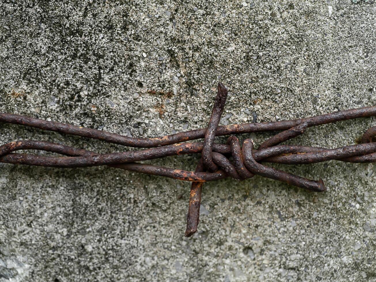 Barbed wire on the cement wall. photo