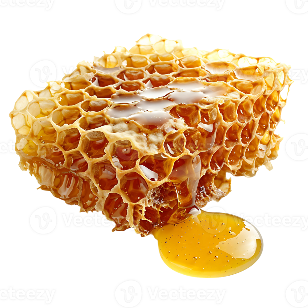 Honey on transparent Background png