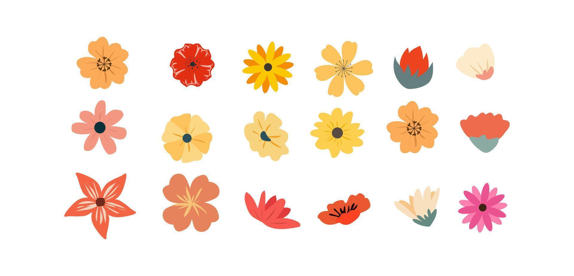 Set of spring flowers, flower botanical element isolated on white background, flowers hand drawn illustration vector