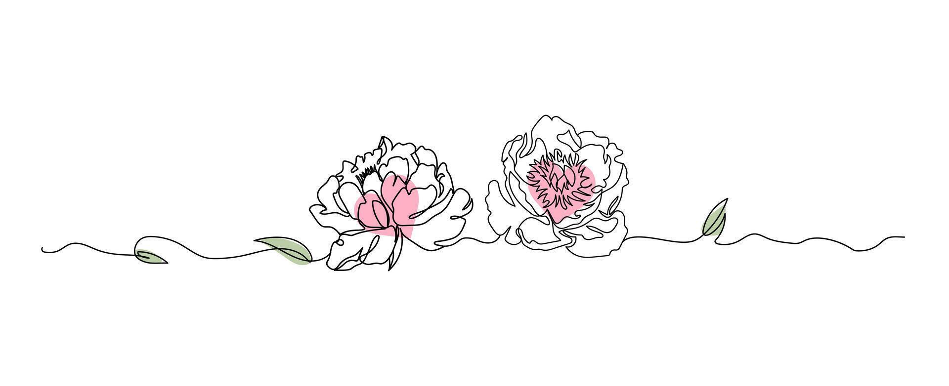Peony flowers line art isolated on white, flower with heart continuous line hand drawn illustration vector