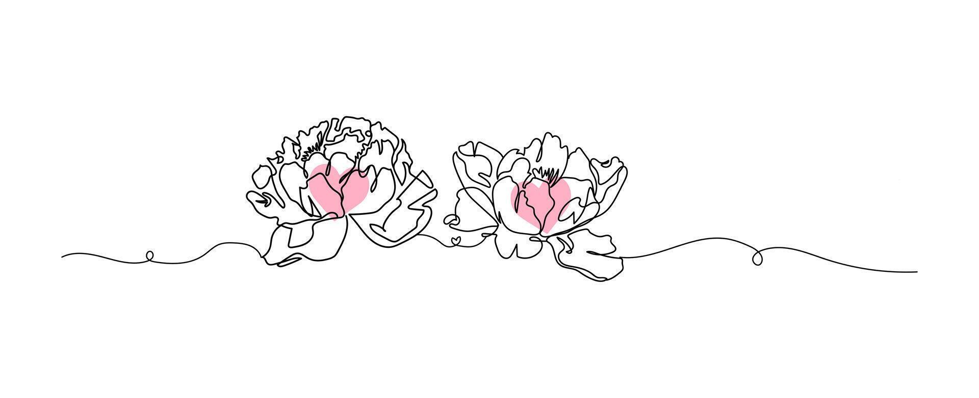 Peony flowers line art isolated on white, flower with heart continuous line hand drawn, illustration vector