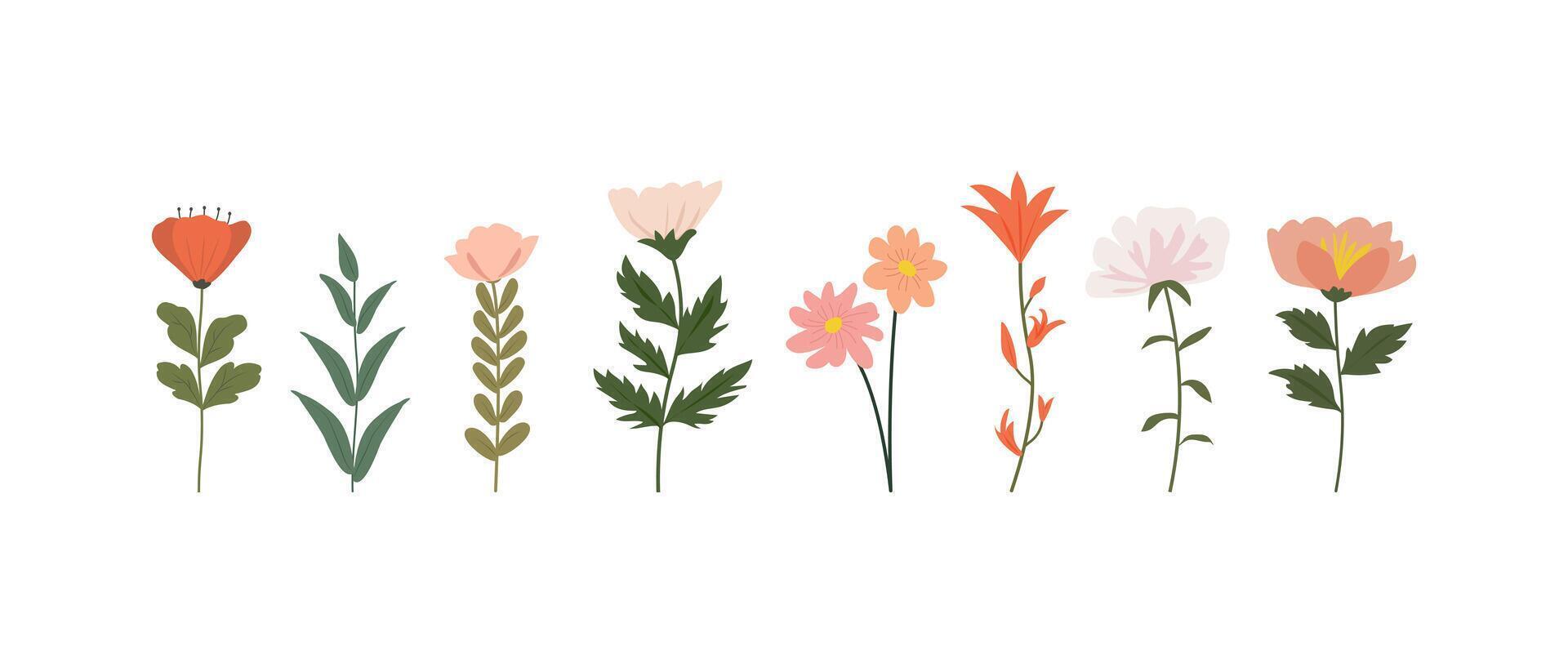 A collection of colorful spring flowers in soft colors, botanical species in flat design style, nature floral bloom decorative elements illustration vector