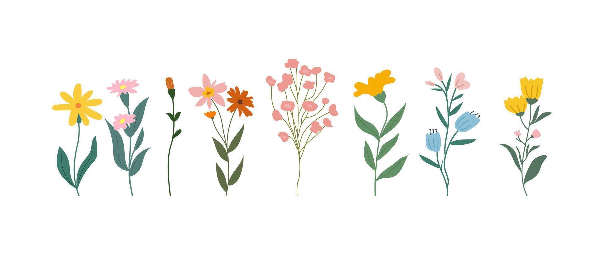 A collection of colorful spring flowers in soft colors, botanical species in flat design style, nature floral bloom decorative elements illustration vector