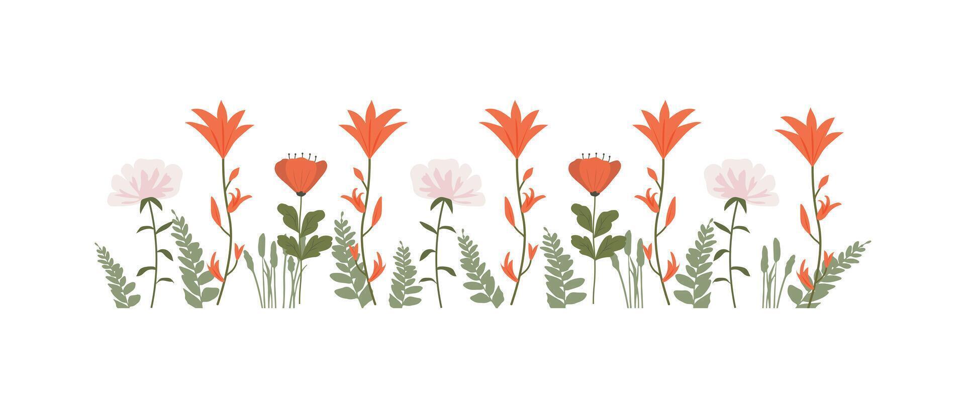 Colorful vintage spring flowers border, nature floral pattern frame isolated on white background, botanical flat design illustration vector