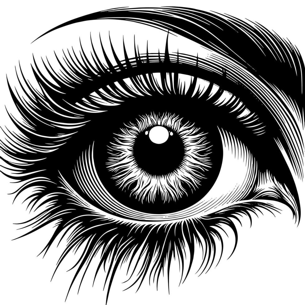 Black and White Illustration of the Human Eye Iris vector