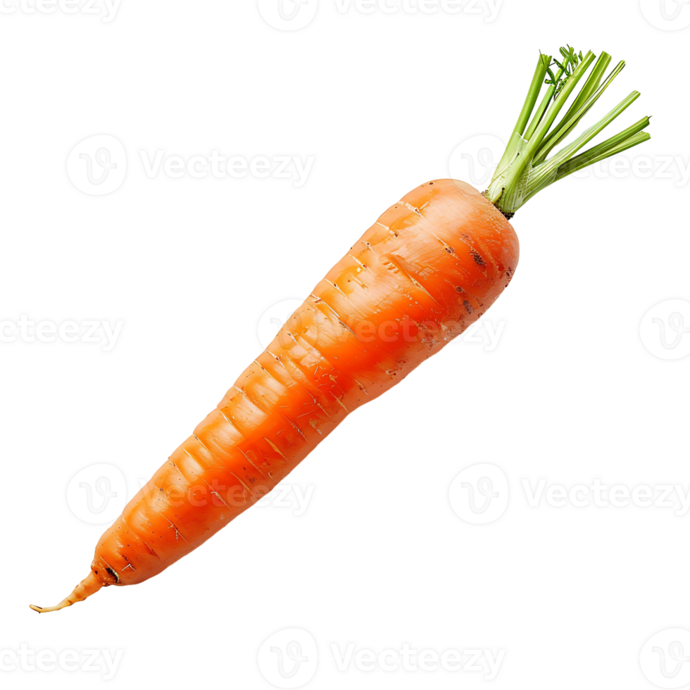 Carrot on transparent Background png