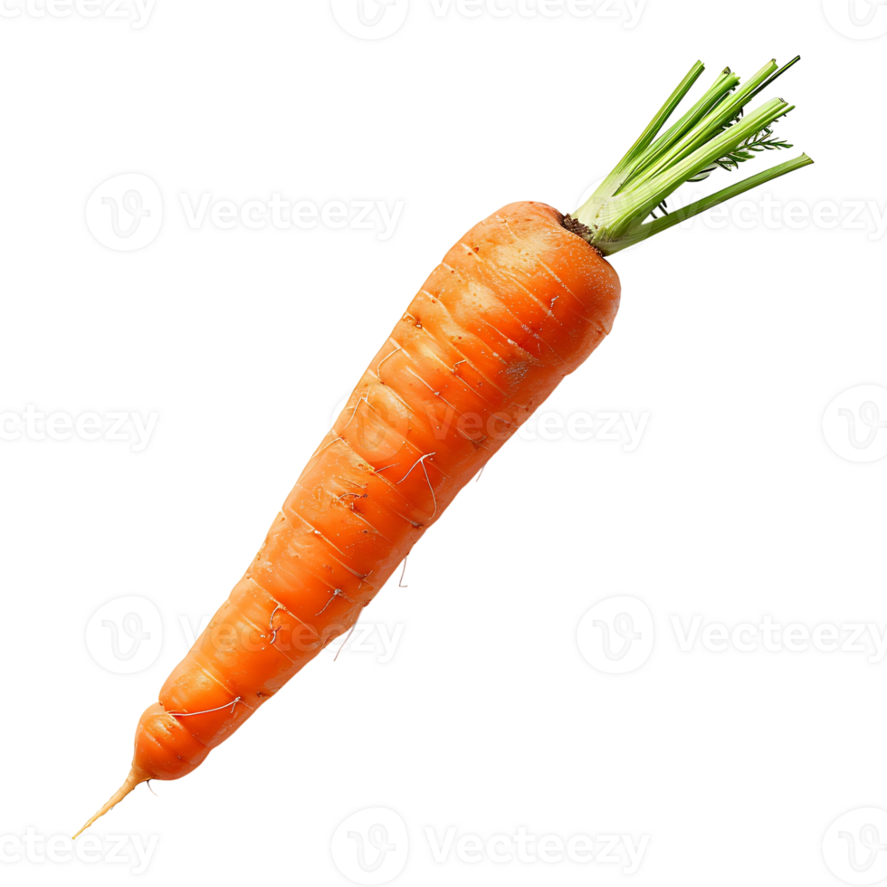Carrot on transparent Background png