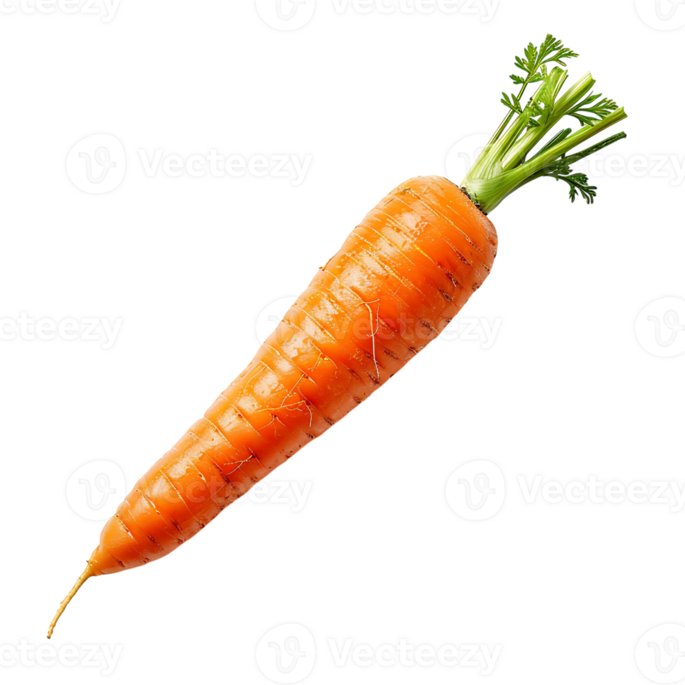 Carrot on transparent Background png