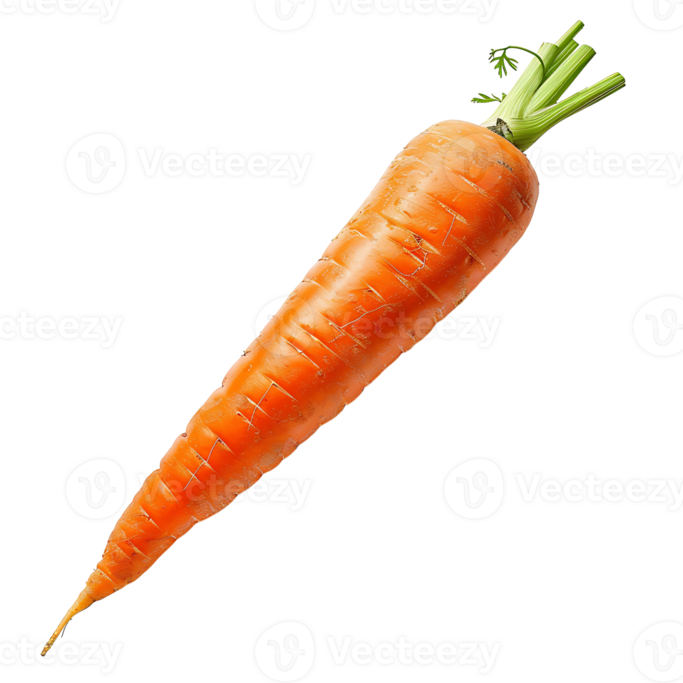 Carrot on transparent Background png
