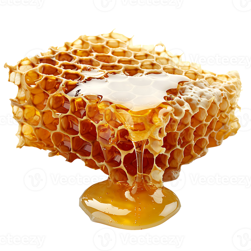 Honey on transparent Background png