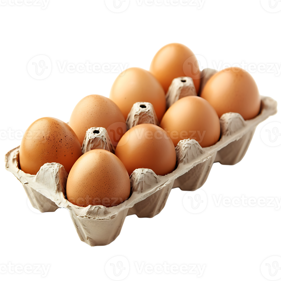 Egg carton on isolated transparent background png