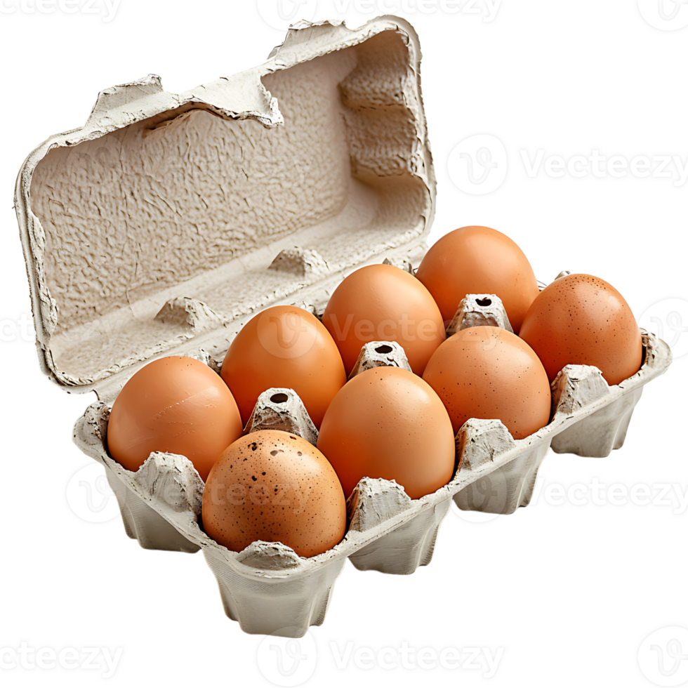 Egg carton on isolated transparent background png