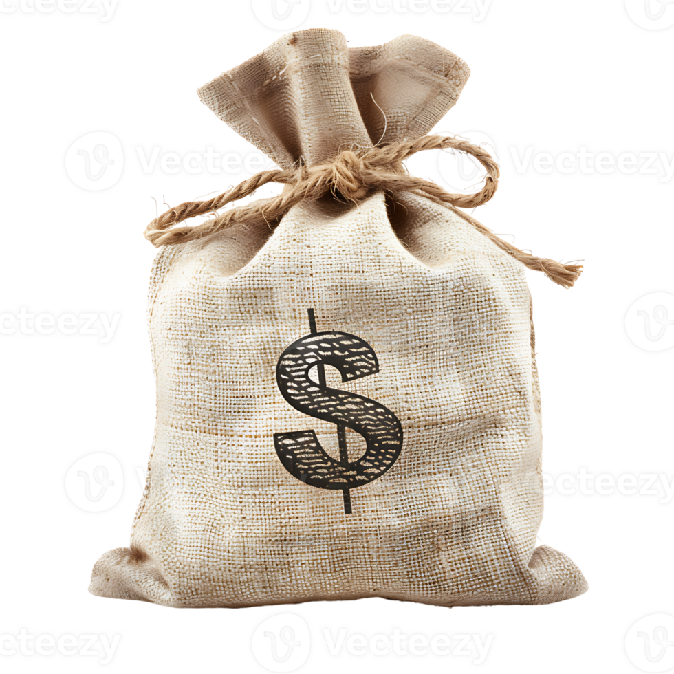 money bag on isolated transparent background png