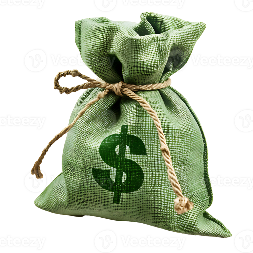 Green money bag on isolated transparent background png