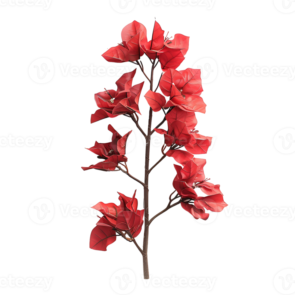 Bougainvillea flower on isolated transparent background png