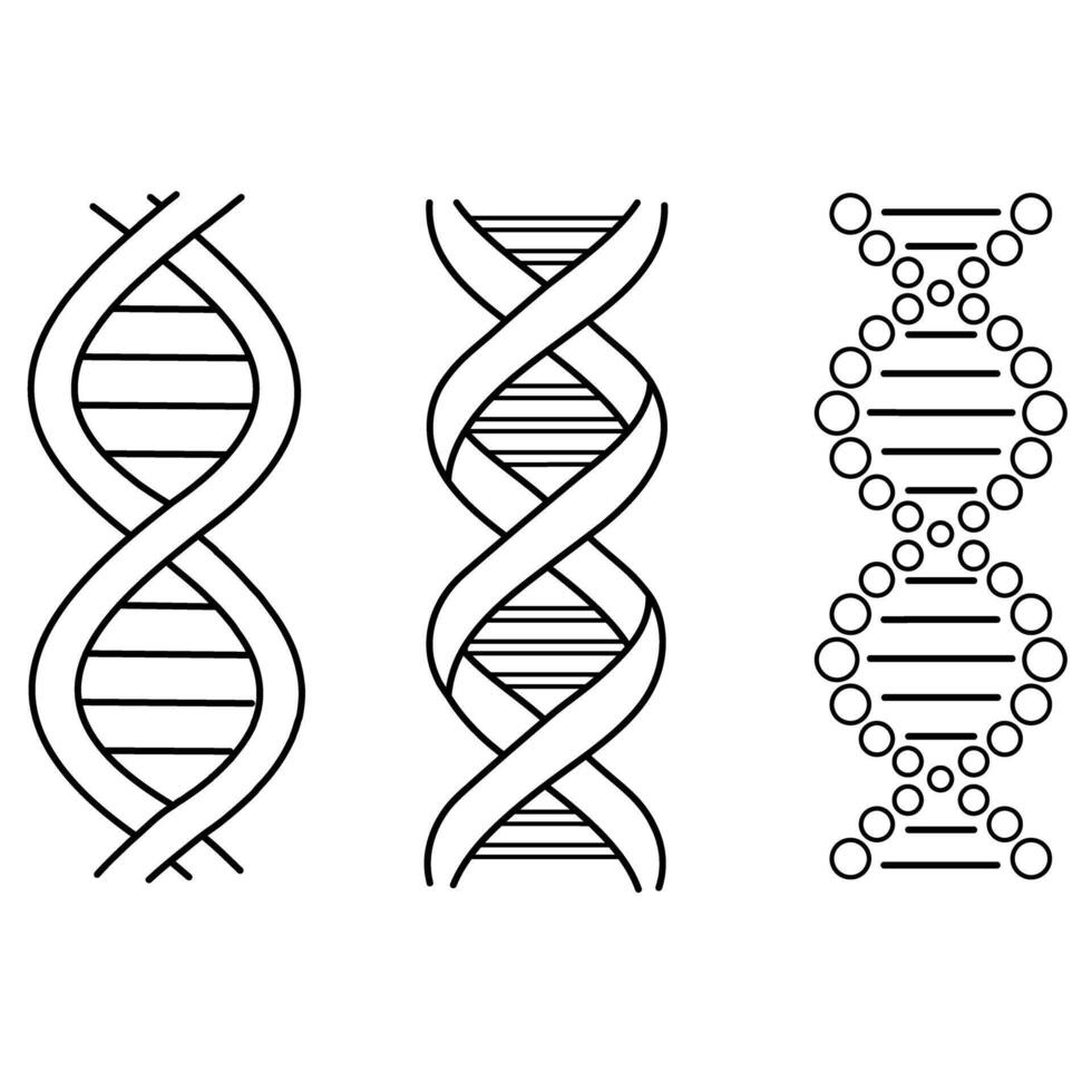 Set of abstract DNA molecule outline icon isolated on white vector