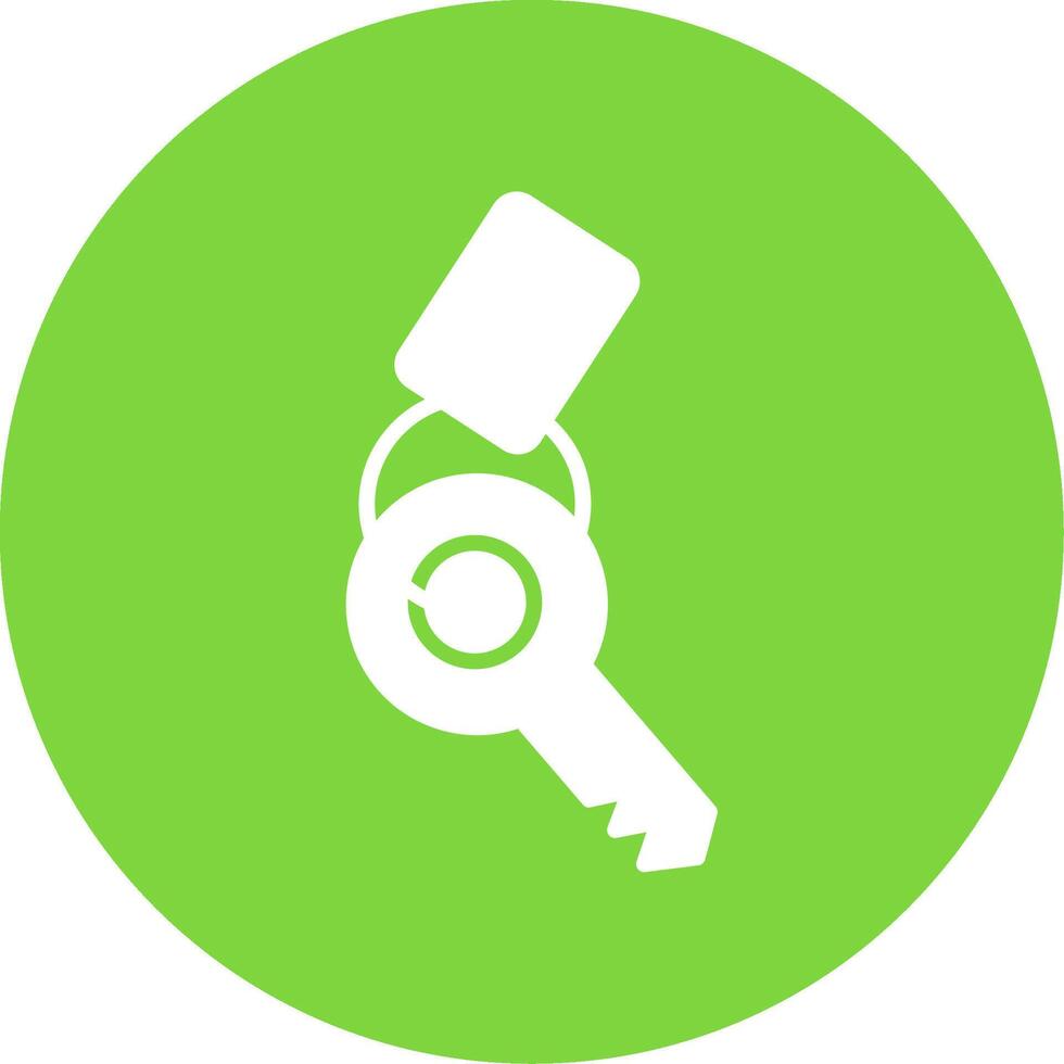Keychain Multi Color Circle Icon vector
