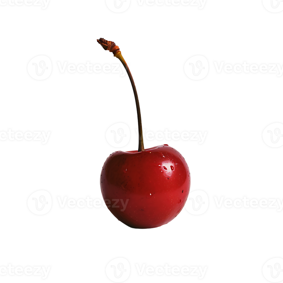A Cherry on isolated transparent background png
