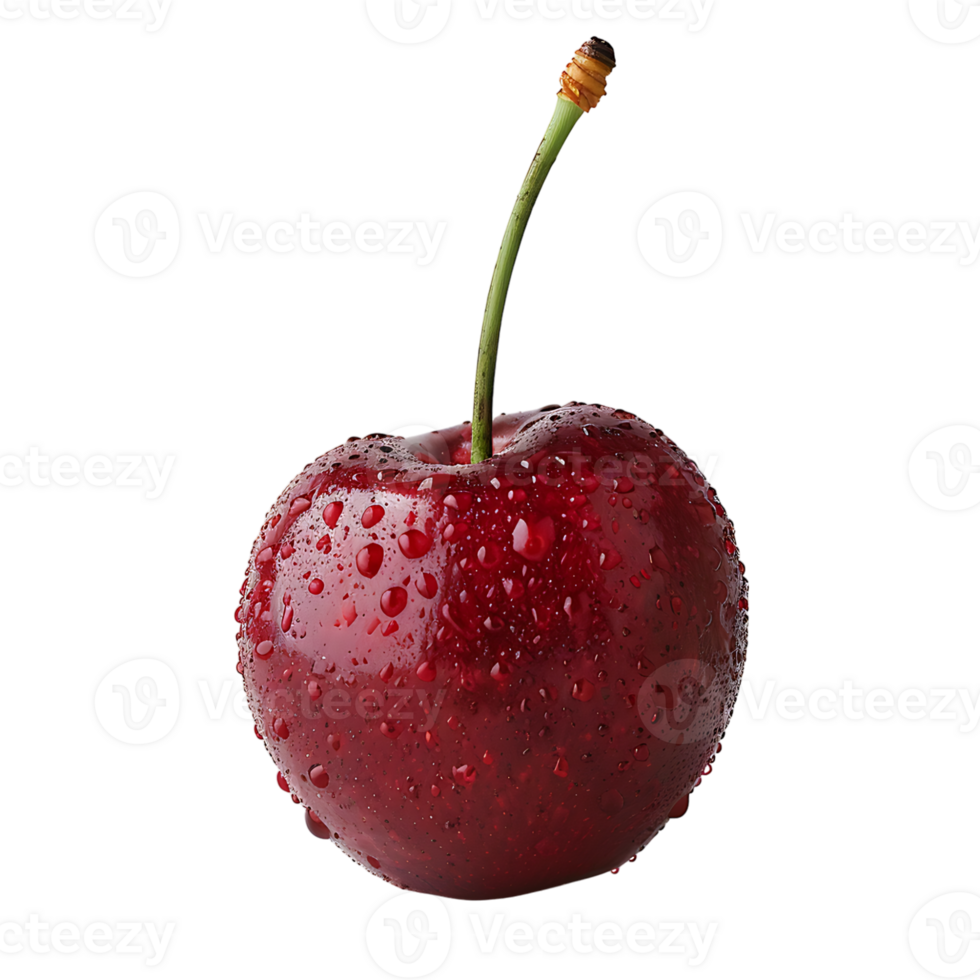 A Cherry on isolated transparent background png