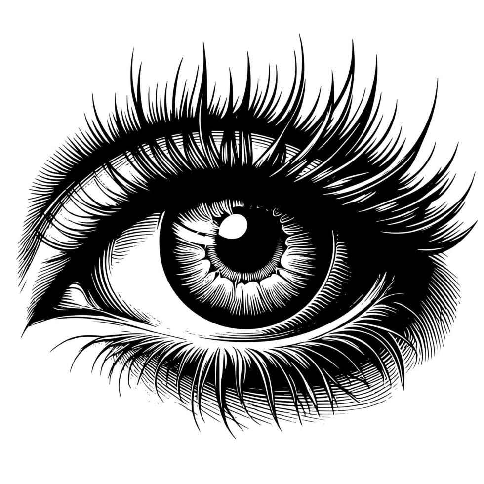 Black and White Illustration of the Human Eye Iris vector