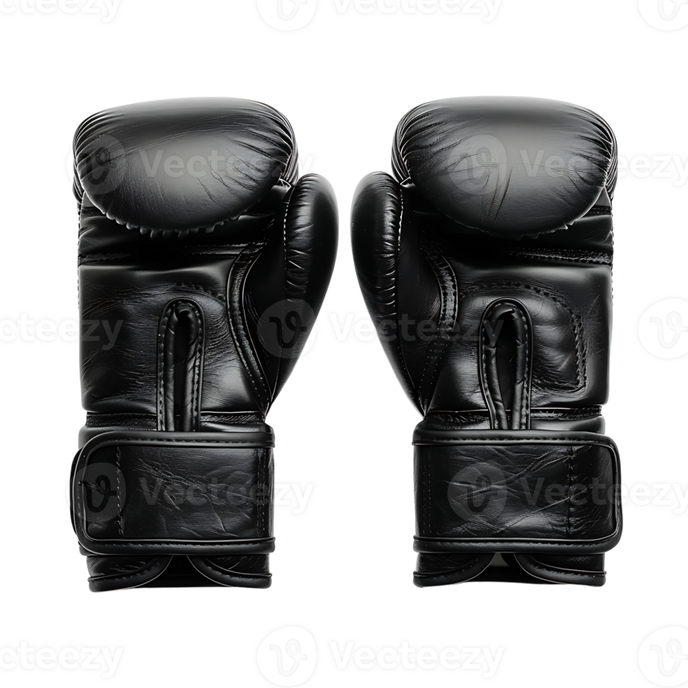 boxe luvas em isolado transparente fundo png