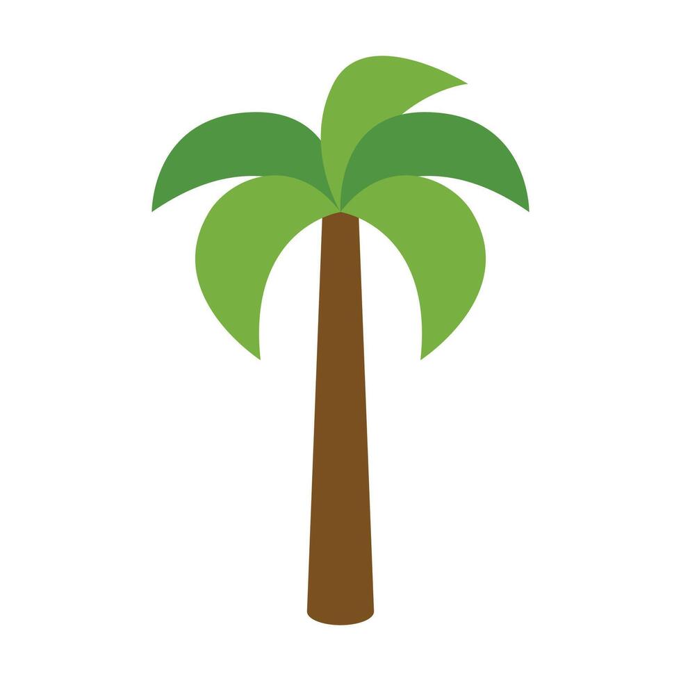 Beautiful palm trees illustration on white background vector