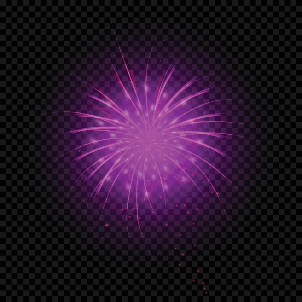 Bright firework illustration on white background vector