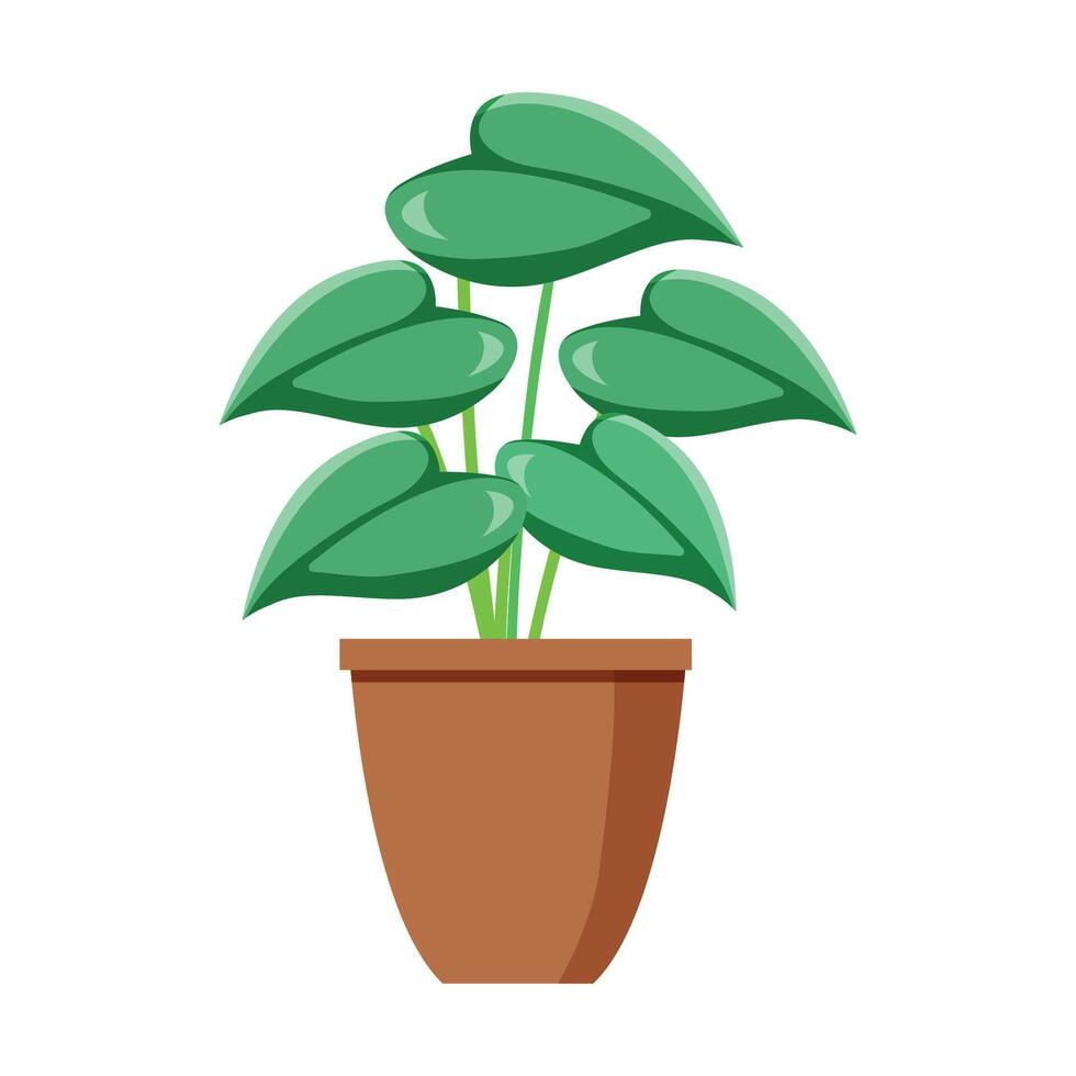 flat design houseplant on white background vector