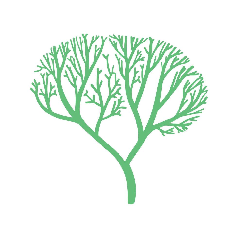 Flat coral illustration on white background vector